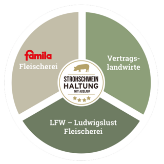 Strohschwein Infografik Strohschwein Infografik